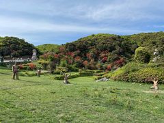 -贵州百里杜鹃风景名胜区