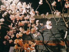-沪小胖小龙虾(淮海中路旗舰店)