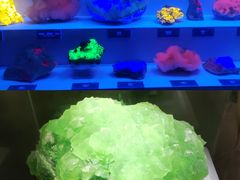 -湖南省地质博物馆