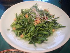 清炒南瓜尖儿-巴依老爷新疆美食(望京小街店)