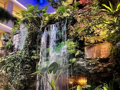 -广州白天鹅宾馆