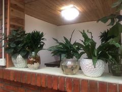 -阿鹏故事云南野生菌火锅(人民路店)