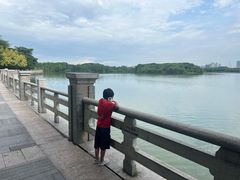 -海珠湖公园