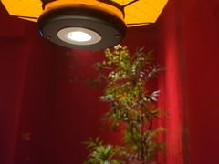 -应天大明王朝·南京菜创始店(中山陵店)