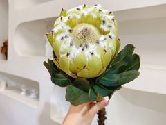 -森野花艺培训·企业团建活动沙龙