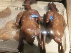 -鸽子窝(宋庄店)