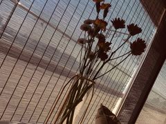 -梧桐餐厅(泉城路店)