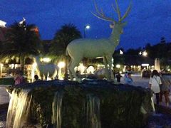 -清迈夜间动物园