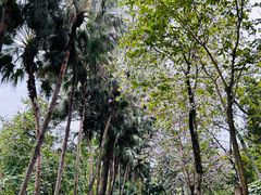 -越秀公园(地铁站)