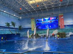 -多彩贵州城极地海洋世界