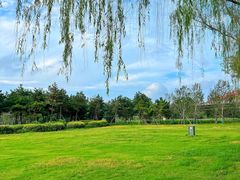 -咸阳湖景区