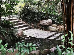-成都市活水公园