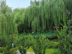 -元大都城垣遗址公园