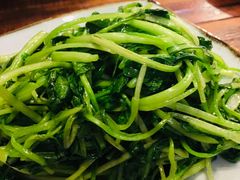 -左陕右甘(亚运村店)