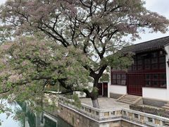 -青果巷历史文化街区