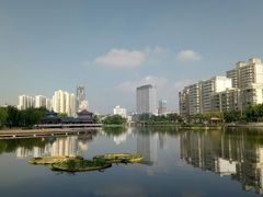 -雁滩公园