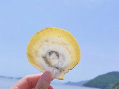 -小皓村