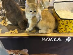 -上海跨国采购会展中心