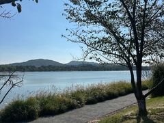 -羊山湖公园