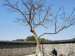 -南京市江宁方山