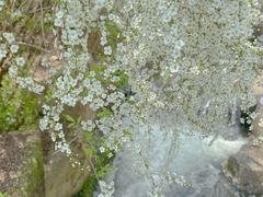 -中国茶叶博物馆(双峰馆区)
