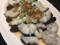 虫草花蒸鮰鱼-新兴·金羊座·粤菜点心(乐峰店)