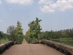 -白鹭湾湿地公园