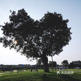 河北正定-北京周边宝藏旅游地