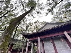 -天一阁博物院