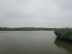 -西青郊野公园