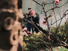 -望江楼公园