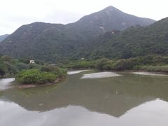 -大澳