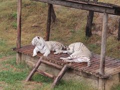 -石家庄市动物园