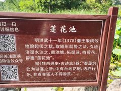 -莲湖公园