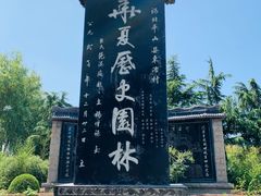 -东方巨龟苑景区