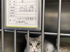 -瑞鹏宠物医院·爱宠堂·骨外专科(西荷分院)