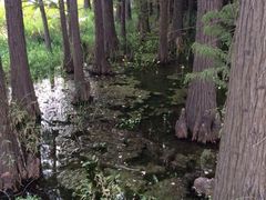 东湖落雁景区-东湖落雁景区
