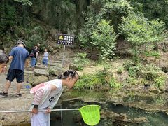 -素山寺森林公园