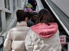 -厦门邮轮中心厦鼓码头(轮渡站)
