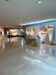 点击看大图 -上海明天广场JW万豪酒店·宴会厅