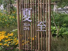 -莲花池公园