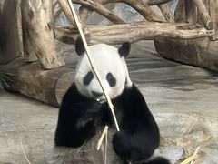 -海南热带野生动植物园