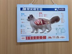 -米苏动物医院·犬猫专科·骨科外科内窥镜