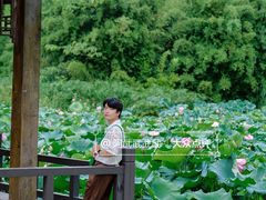 -白鹭湾湿地公园