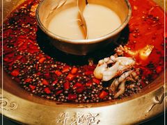 -哥老官重庆美蛙鱼头(圆融广场店)