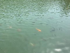 -昆嵛山石门里景区