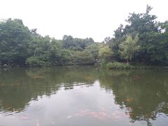 -西湖外事游船(花港观鱼码头)