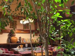-慢丽江·云南野生菌土鸡锅(付家庄店)