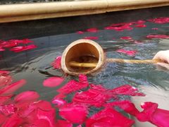-苏州湾王焰温泉度假酒店
