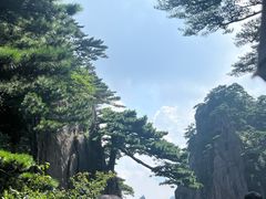 -黄山风景区
